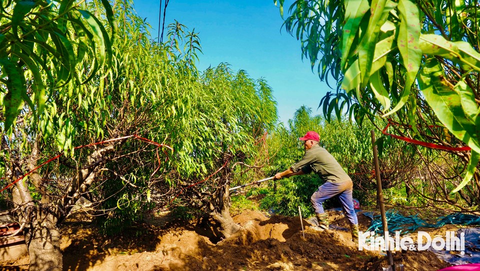 Tranh thủ khối lượng c&ocirc;ng việc lớn tại đ&acirc;y, mỗi người c&oacute; thể kiếm được tiền triệu mỗi ng&agrave;y.