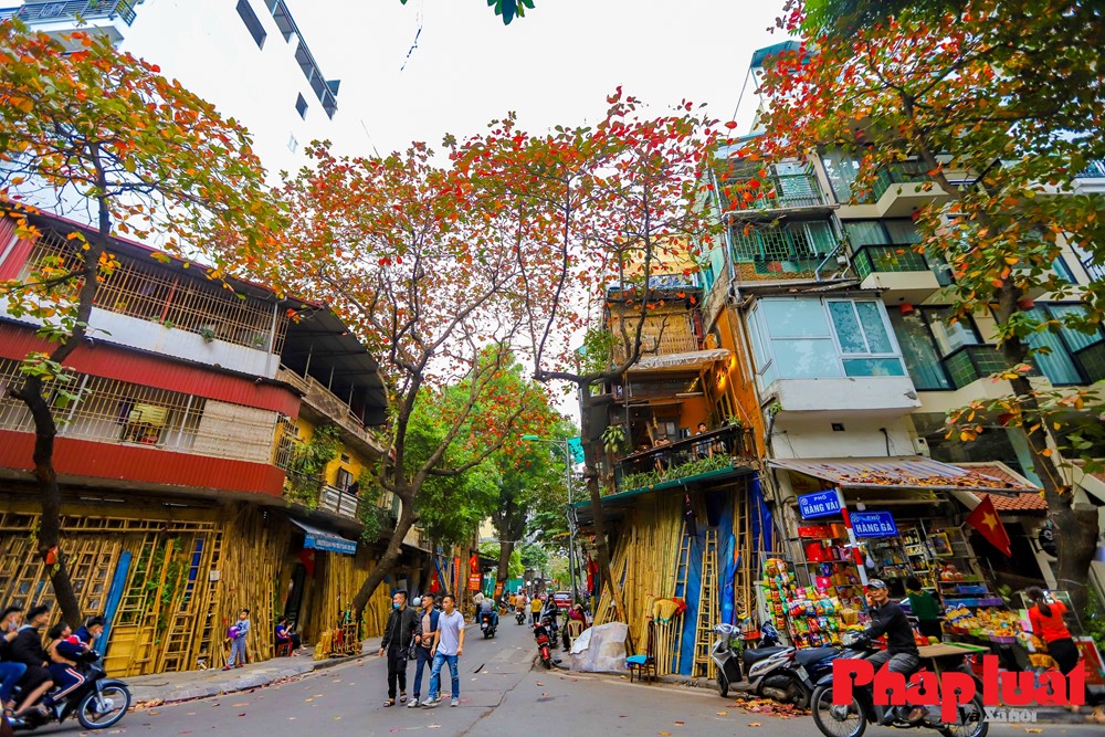 Hà Nội đẹp lãng mạn mùa cây bàng lá đỏ