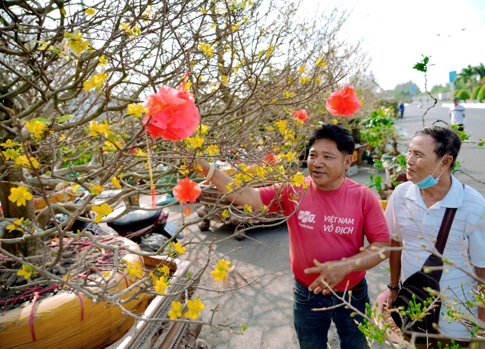 Thị trường hoa, kiểng Tết Nguy&ecirc;n đ&aacute;n Gi&aacute;p Th&igrave;n 2024 vắng người mua, hạ gi&aacute; th&agrave;nh nhưng vẫn vắng kh&aacute;ch. (Ảnh Hữu Tuấn)