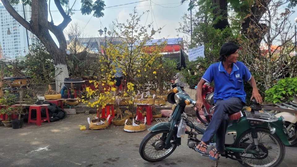 Hoa, c&acirc;y kiểng b&aacute;n ế những người chở thu&ecirc; cũng mất thu nhập v&igrave; kh&ocirc;ng c&oacute; ai thu&ecirc;. (Ảnh Hữu Tuấn)