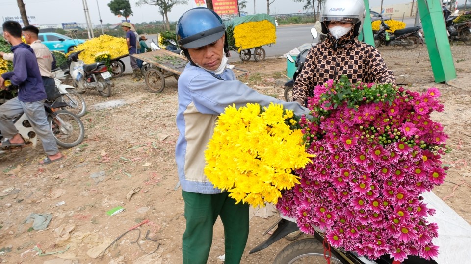 Đối với c&uacute;c đại đo&aacute;, c&uacute;c c&aacute;nh d&agrave;i, gi&aacute; b&aacute;n thậm ch&iacute; c&ograve;n rẻ hơn, c&oacute; tiểu thương ch&agrave;o b&aacute;n 25.000 - 30.000 đồng/50 b&ocirc;ng.