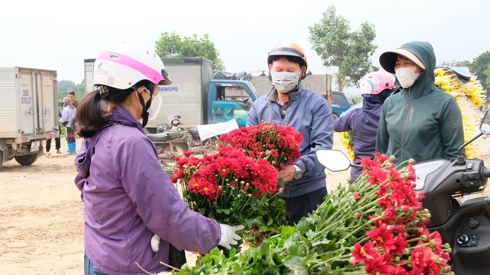 Ngo&agrave;i hoa c&uacute;c v&agrave;ng chiếm tỷ lệ lớn nhất, c&aacute;c loại c&uacute;c kh&aacute;c cũng được tiểu thương b&agrave;y b&aacute;n kh&aacute; nhiều. Gi&aacute; dao động từ 500 - 1.000 đồng/b&ocirc;ng (tùy loại).