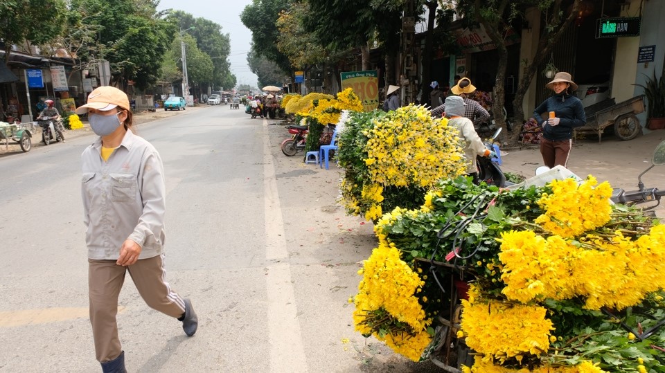 Những năm qua, nghề trồng hoa cắt c&agrave;nh, trong đ&oacute; chủ đạo l&agrave; hoa hồng v&agrave; hoa c&uacute;c, vẫn ph&aacute;t triển tại nhiều x&atilde; thuộc huyện M&ecirc; Linh. Trung b&igrave;nh mỗi năm, h&agrave;ng chục triệu b&ocirc;ng hoa được người n&ocirc;ng d&acirc;n nơi đ&acirc;y cung ứng cho thị trường H&agrave; Nội v&agrave; xuất b&aacute;n đi c&aacute;c tỉnh, TP tr&ecirc;n cả nước.