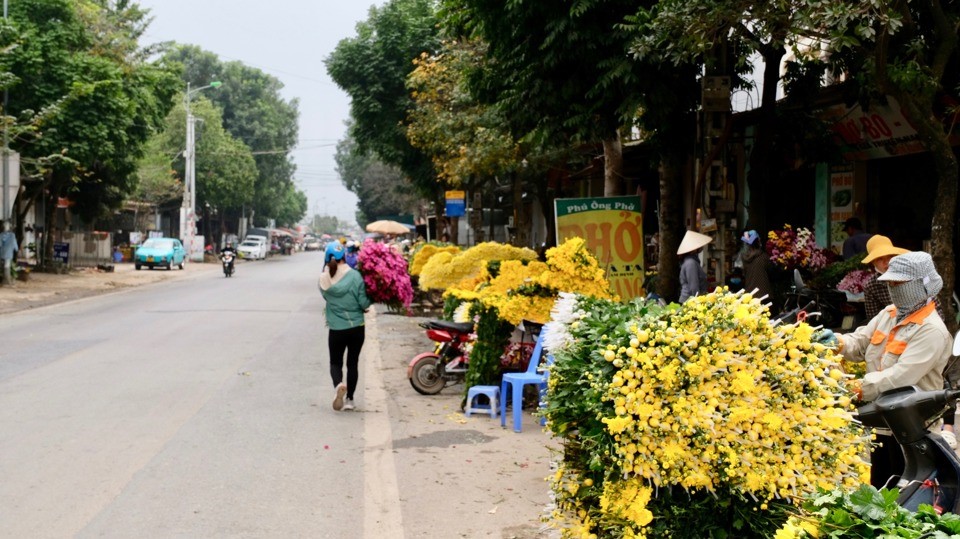 Trước rằm th&aacute;ng Gi&ecirc;ng, hoa c&uacute;c, trong đ&oacute; chủ đạo l&agrave; hoa c&uacute;c v&agrave;ng được b&agrave;y b&aacute;n la liệt.