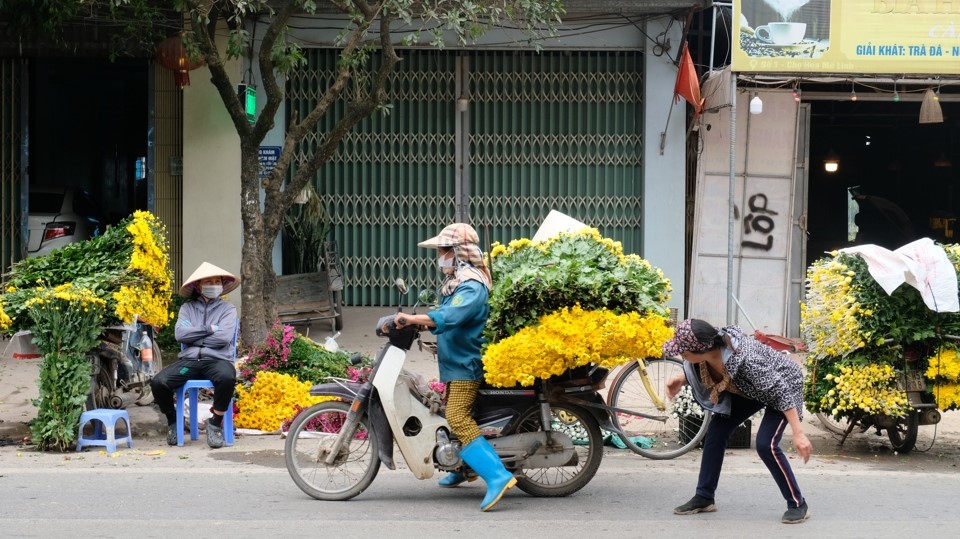 Một trong những nguy&ecirc;n nh&acirc;n khiến hoa c&uacute;c hiện c&oacute; gi&aacute; kh&aacute; thấp l&agrave; bởi nguồn cung sau Tết dồi d&agrave;o. B&ecirc;n cạnh đ&oacute;, thương l&aacute;i Trung Quốc hiện cũng giảm thu mua.