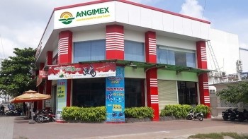 Angimex (AGM) nói gì khi cổ phiếu tăng trần liên tục? - ảnh 5