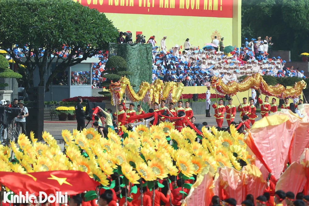 Hơn 800 chim bồ câu tung cánh giữa Quảng trường Ba Đình mừng Đại lễ A80 - ảnh 9