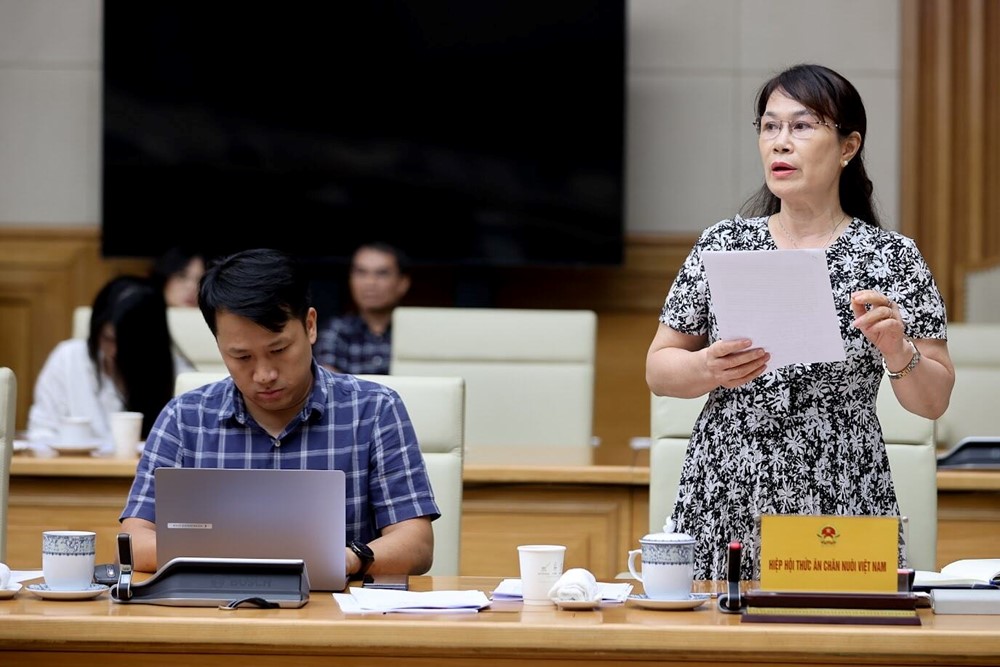 Thủ tướng: Không tạo 