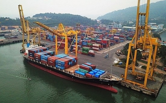 Lập kỷ lục doanh thu và lợi nhuận, Cảng Đà Nẵng (CDN) ‘chơi lớn’ với dự án 550 tỷ đồng