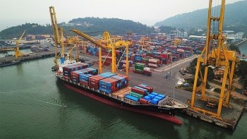 Lập kỷ lục doanh thu và lợi nhuận, Cảng Đà Nẵng (CDN) ‘chơi lớn’ với dự án 550 tỷ đồng - ảnh 3