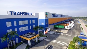 Transimex sắp phát hành 11 triệu cổ phiếu trả cổ tức, huy động thành công trăm tỷ từ lô trái phiếu 