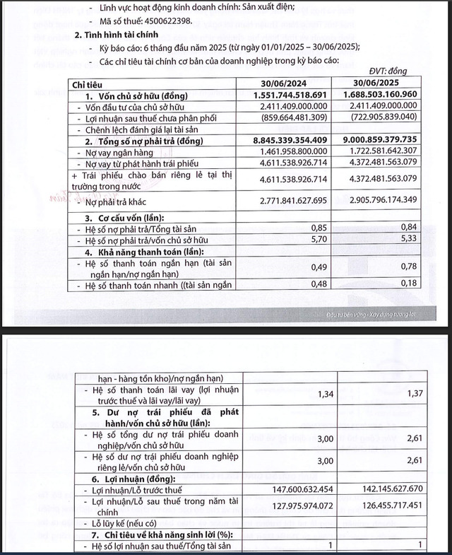 Một số chỉ tiêu tài chính của Trung Nam Thuận Nam.