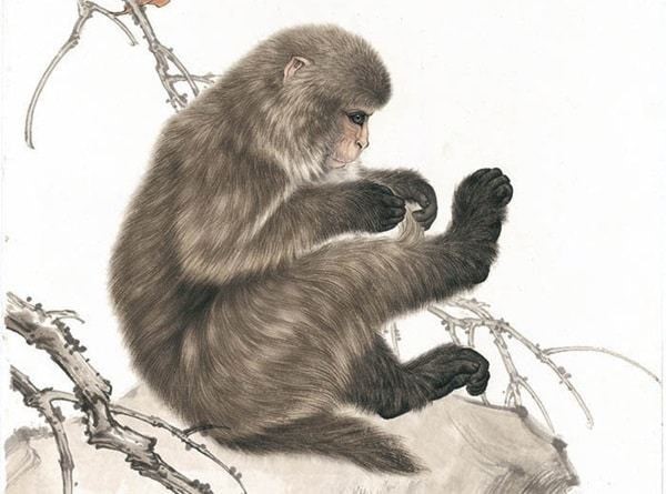 Tử vi tháng 8/2025: Con giáp nào tài lộc hanh thông, tình duyên rực rỡ? - ảnh 4