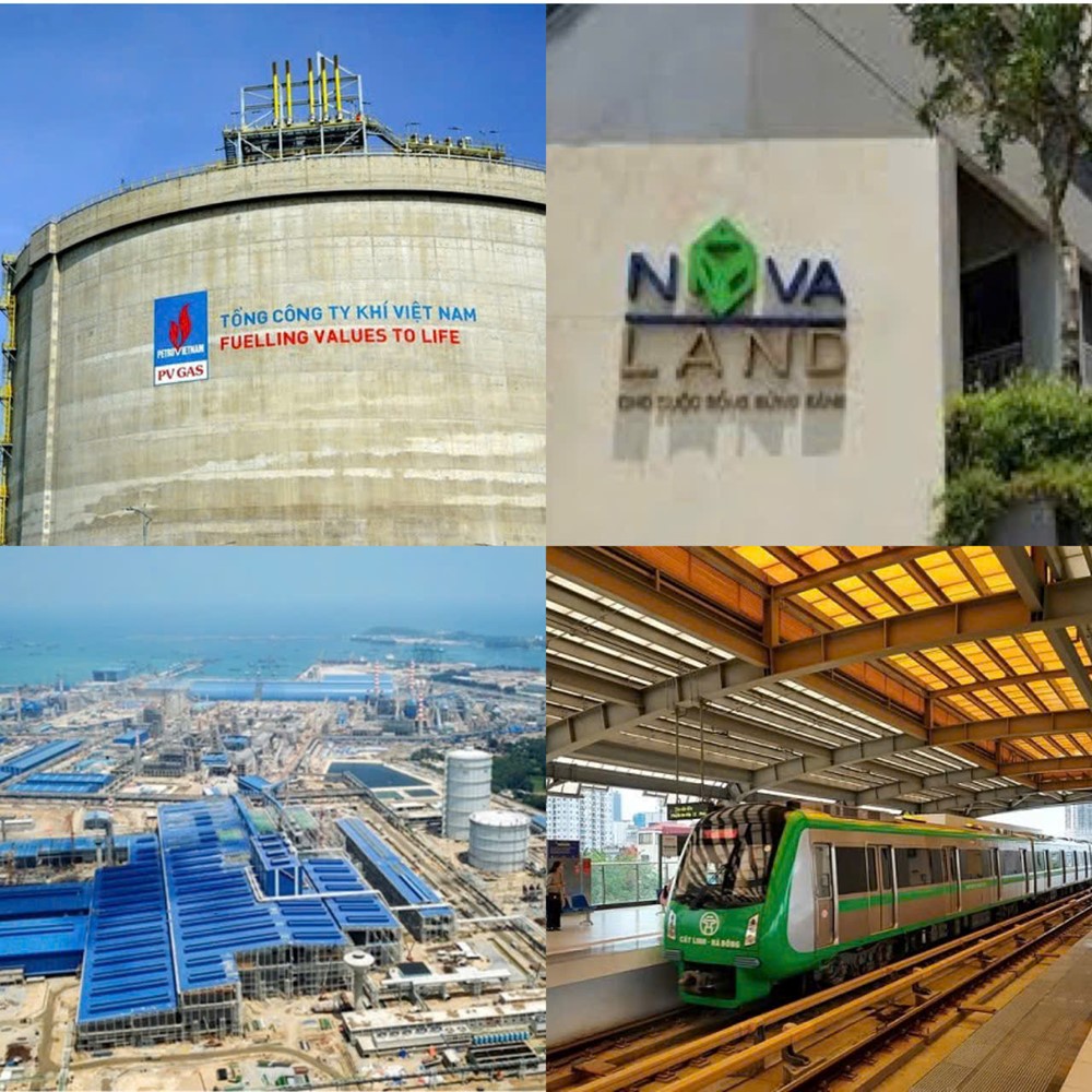 Điểm tin doanh nghiệp: Doanh nghiệp lãi lớn, hộ chăn nuôi chật vật giữa tâm dịch - ảnh 1