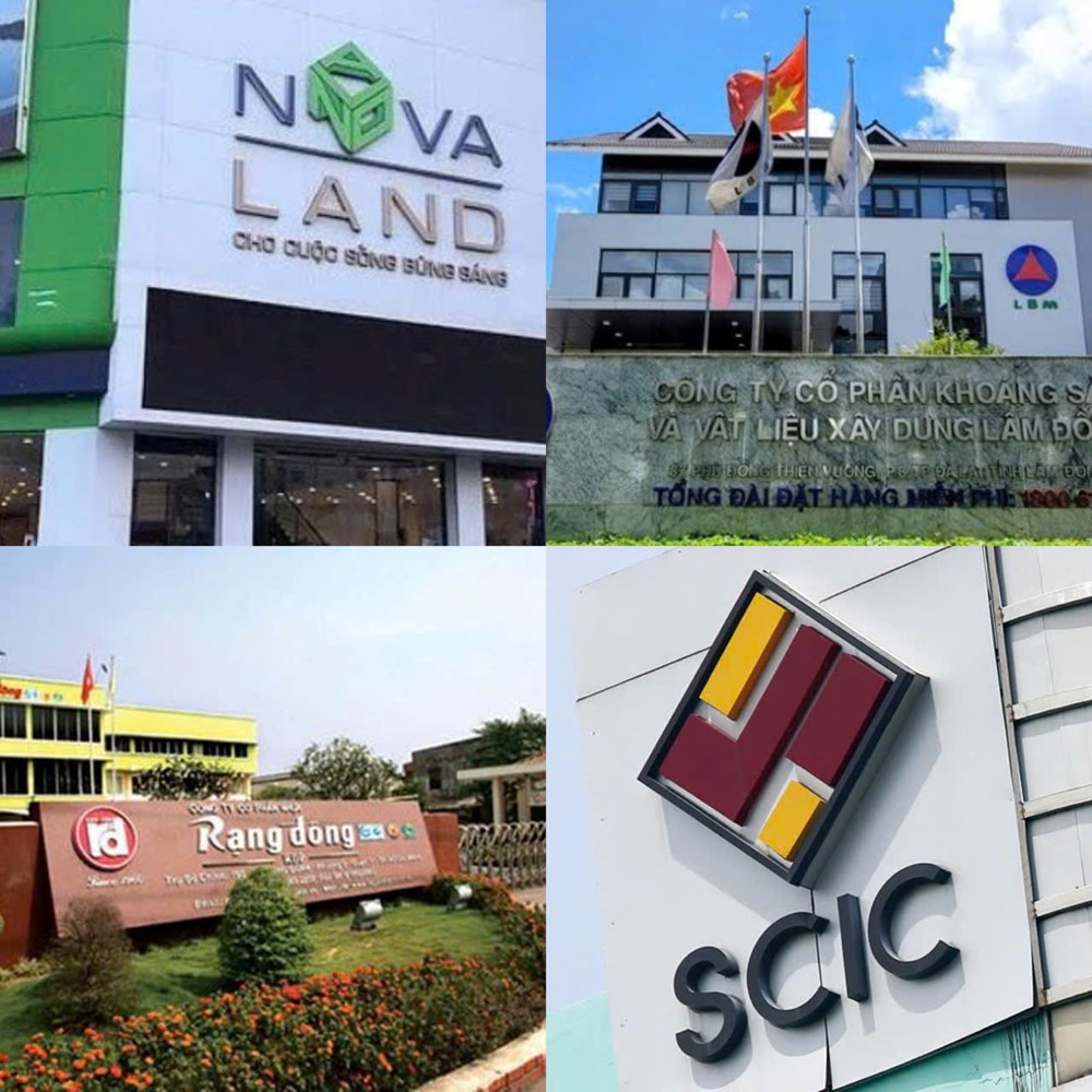 Điểm tin doanh nghiệp: Loạt doanh nghiệp chi hàng trăm tỷ đồng cổ tức - ảnh 1