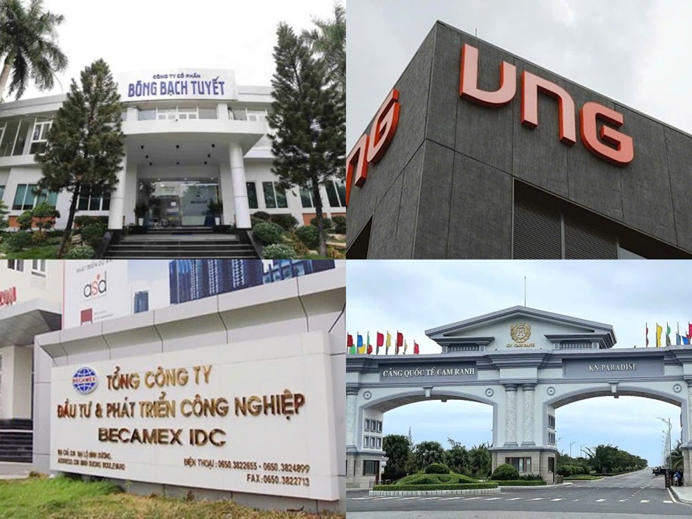 Điểm tin doanh nghiệp: VNG doanh thu gần 4.800 tỷ, Bông Sen lỗ lũy kế 3.100 tỷ - ảnh 1