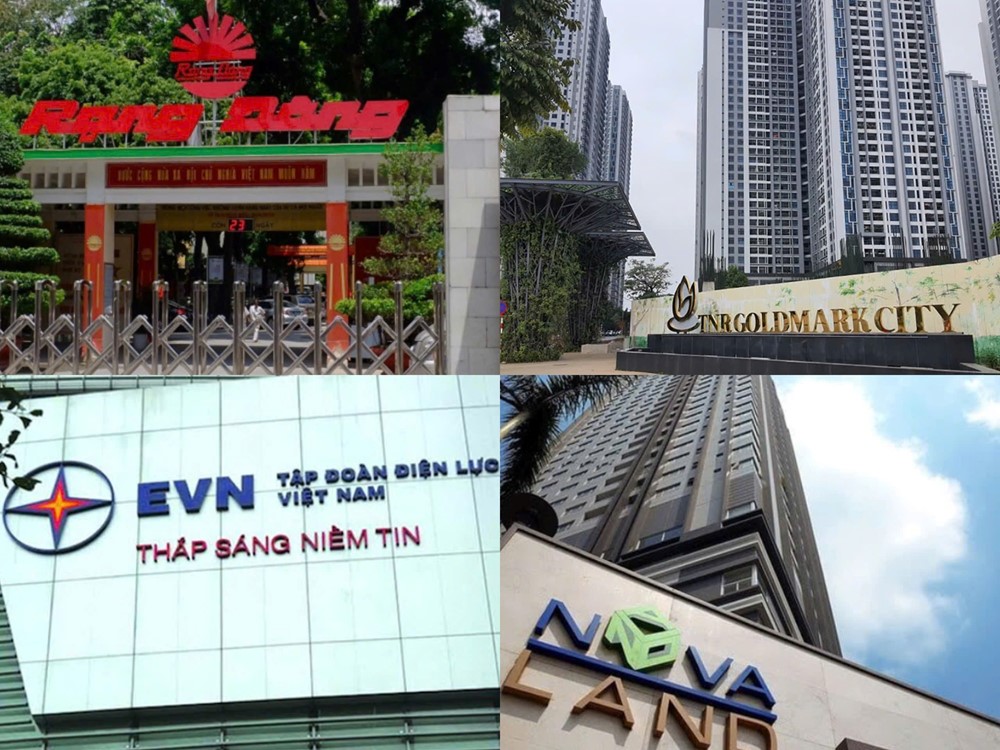 Điểm tin doanh nghiệp: EVN xin phân bổ lỗ 45.000 tỷ, Rạng Đông chi 59 tỷ tạm ứng cổ tức - ảnh 1