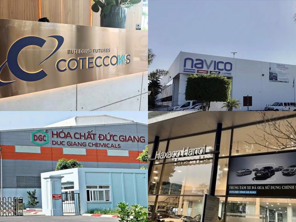 Điểm tin doanh nghiệp: ANV lãi gấp 8 lần, Coteccons phát hành 1.400 tỷ trái phiếu - ảnh 1