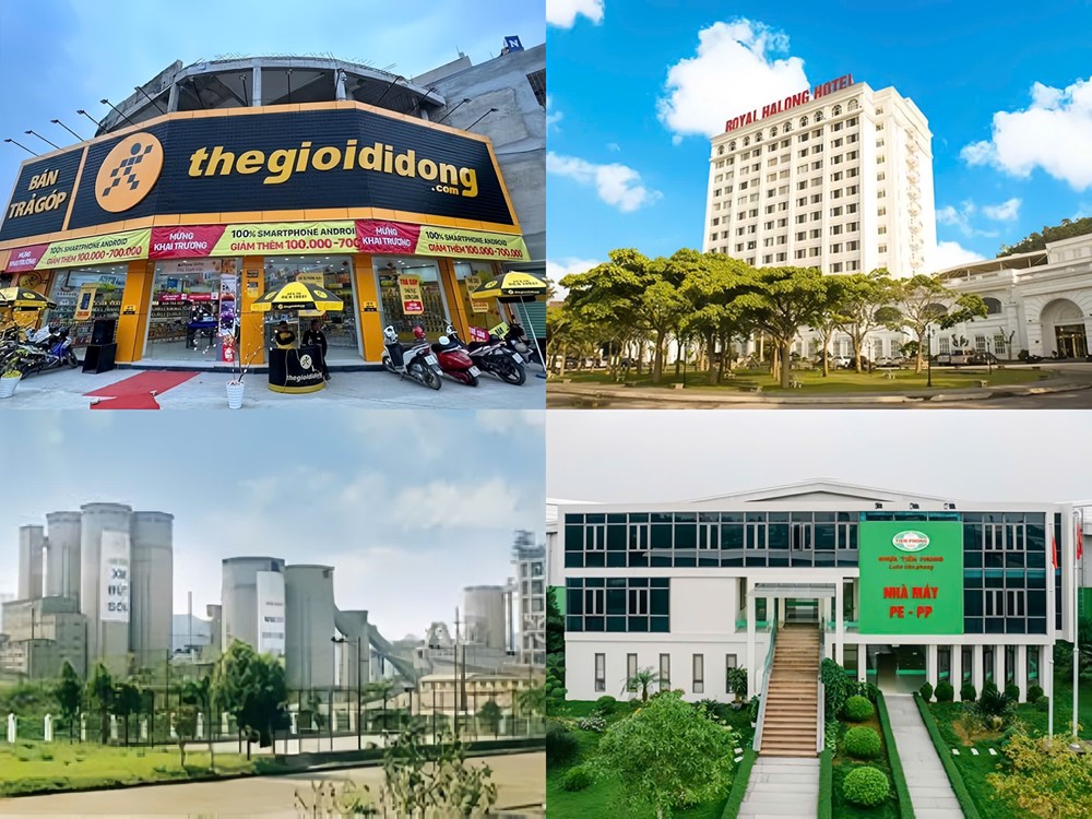 Điểm tin doanh nghiệp: Thế Giới Di Động lãi kỷ lục 1.770 tỷ đồng quý III, NTP vượt 11% kế hoạch năm - ảnh 1