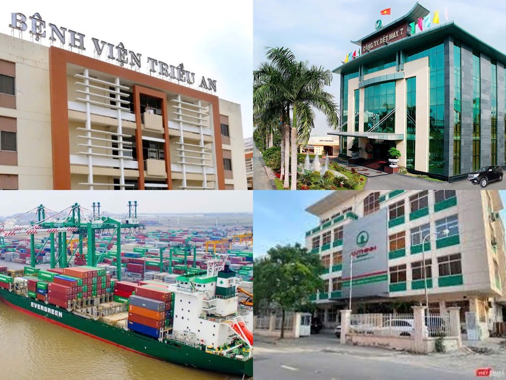 Điểm tin doanh nghiệp: Viconship lãi 456 tỷ đồng sau 9 tháng, Dệt May 7 lao dốc 97% - ảnh 1