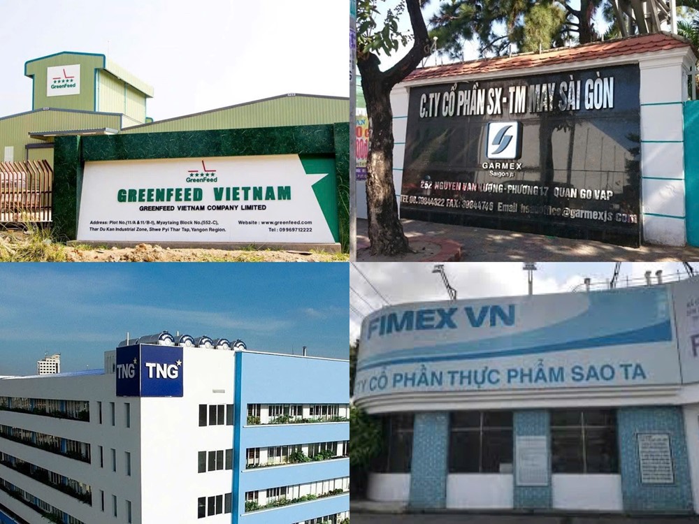 Điểm tin doanh nghiệp: TNG vượt kỷ lục doanh thu, GreenFeed lãi 6 tháng tăng 152% - ảnh 1