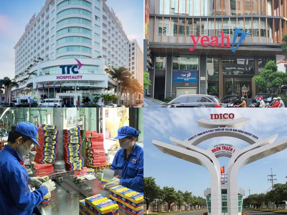 Điểm tin doanh nghiệp: YeaH1 tăng vốn MangoPlus, Pin Hà Nội vẫn giữ cổ tức cao - ảnh 1