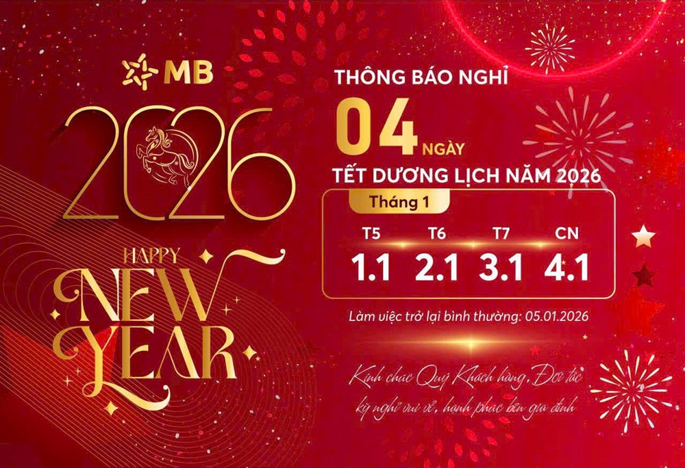 Lịch nghỉ Tết Dương lịch 2026 của chứng khoán, ngân hàng - ảnh 11