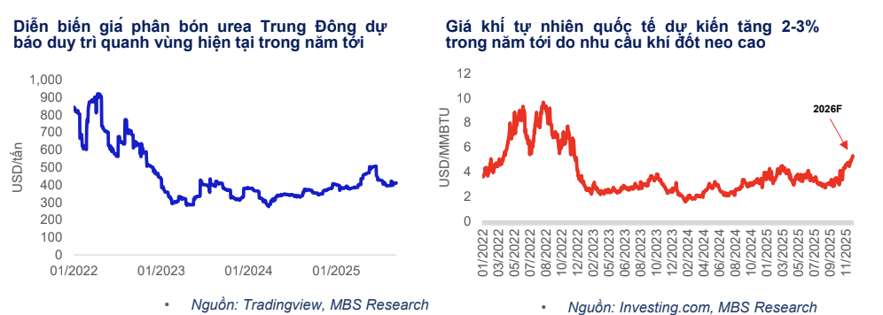 Triển vọng ngành phân bón 2026: “Gieo hạt tốt, gặt mùa vàng” nhờ cú hích thuế VAT và xuất khẩu - ảnh 2
