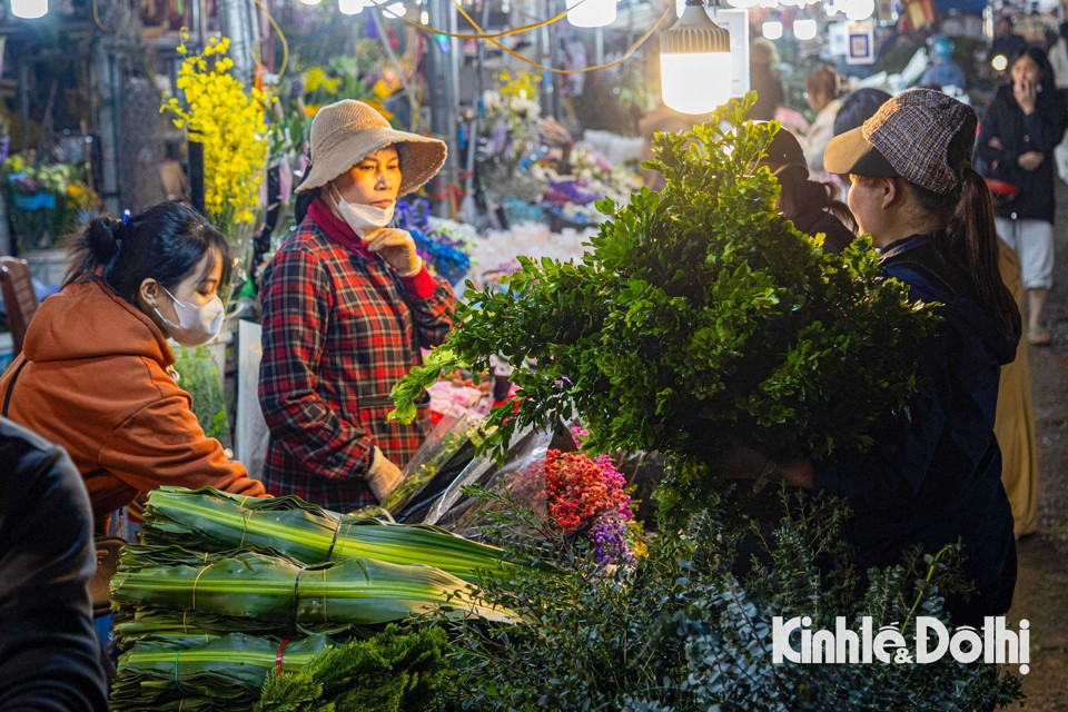 Hoa ở chợ hoa Quảng An được lấy nguồn từ khắp c&aacute;c v&ugrave;ng như Đ&ocirc;ng Anh, T&acirc;y Tựu, Gia L&acirc;m...Thậm ch&iacute; c&oacute; loại hoa c&ograve;n được đưa ra từ Đ&agrave; Lạt.