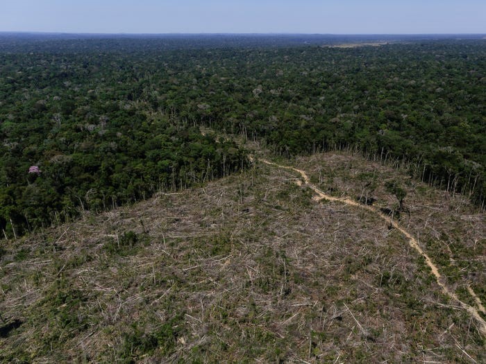 Các nhà khoa học cảnh báo: Trái Đất đã bước vào đại tuyệt chủng lần thứ 6, đe dọa sự tồn tại của loài người?  - ảnh 3