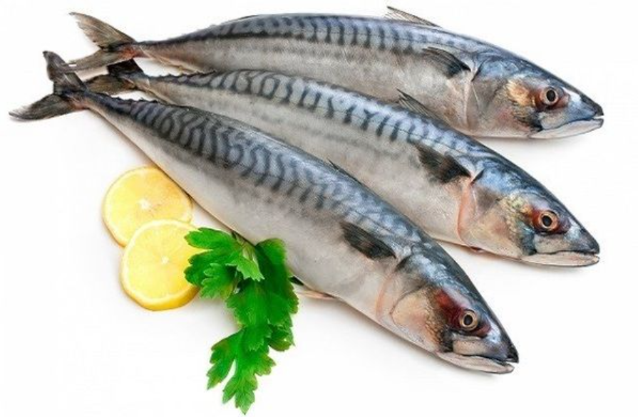 Loài cá là ‘vua’ giàu omega 3 hơn cả cá hồi: Tốt cho trí não, bổ cho tim mạch, dễ dàng tìm mua ở chợ Việt - ảnh 2