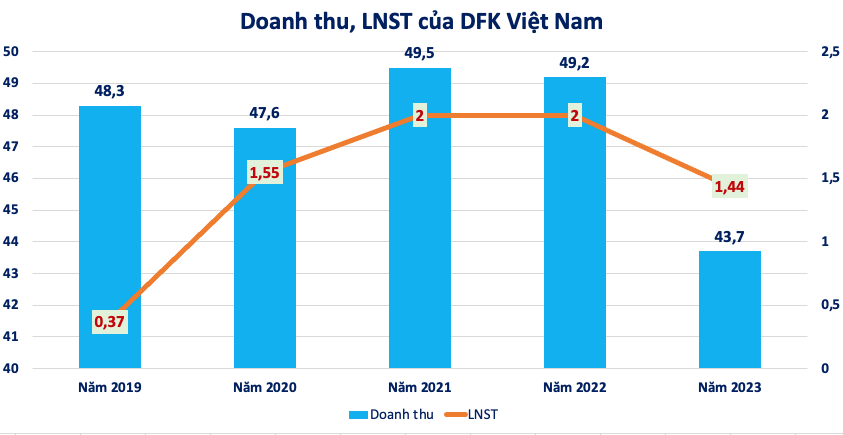 Công ty kiểm toán ký 'khống' BCTC cho Quốc Cường Gia Lai (QCG): DFK Việt Nam kinh doanh ra sao? - ảnh 2