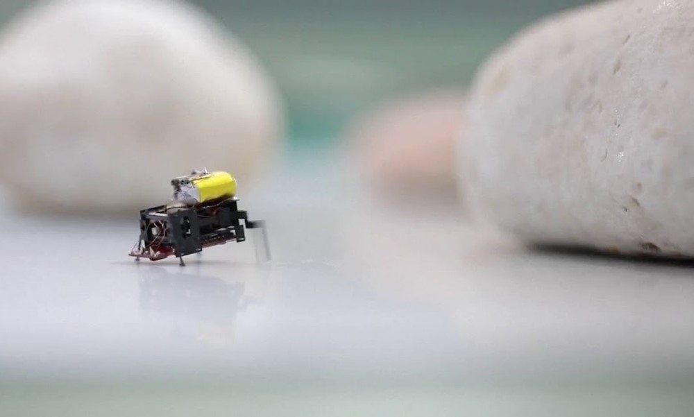 Láng giềng Việt Nam chế tạo robot tí hon chỉ lớn tương đương 2 chiếc móng tay, có thể vận chuyển đồ vật lớn gấp 32 lần trọng lượng cơ thể - ảnh 1