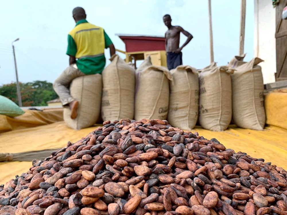 Đánh bại vàng và Bitcoin, một nông sản bất ngờ là tài sản tăng mạnh nhất năm 2024  - ảnh 1