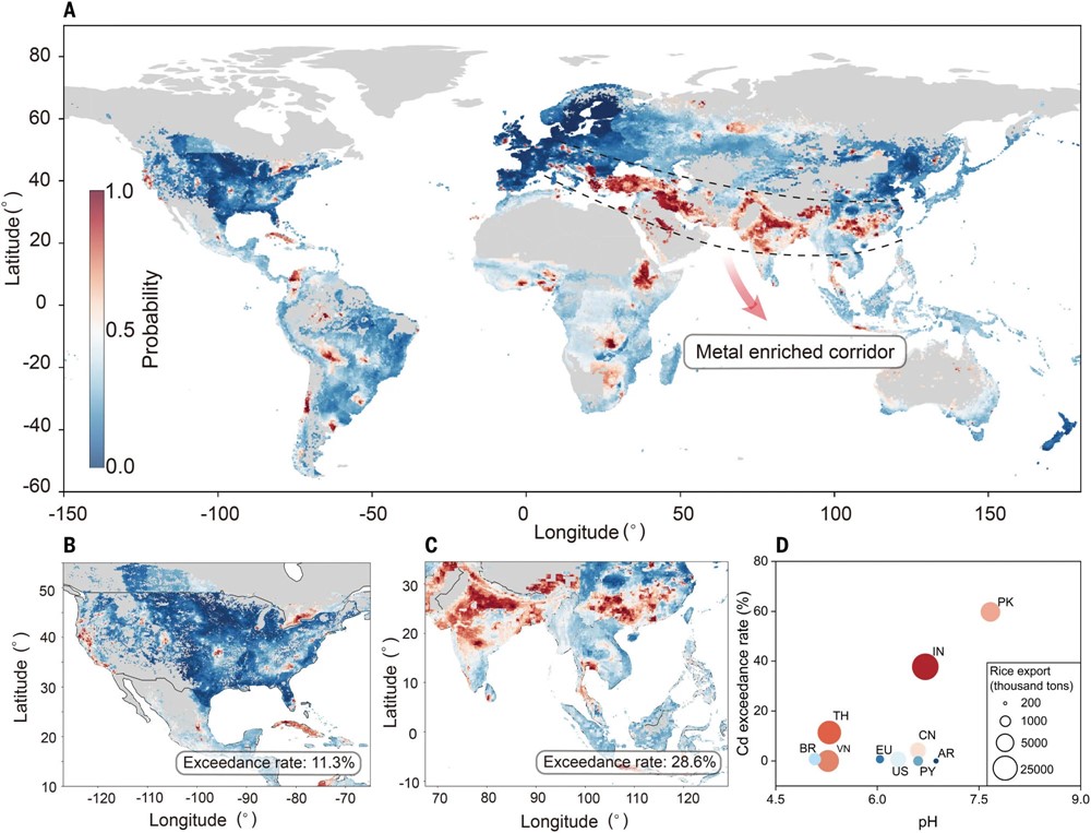 Ô nhiễm kim loại nặng đe dọa hàng trăm triệu ha đất canh tác lúa gạo, loạt quốc gia châu Á nằm trong vùng nguy hiểm - ảnh 2