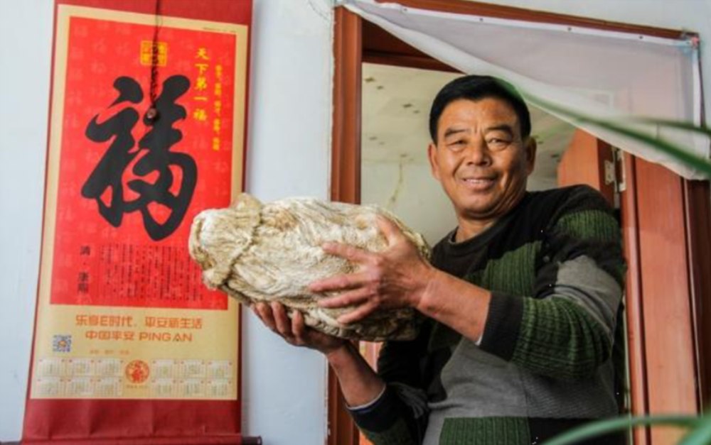 Lão nông nhặt được tảng đá ‘mềm như bông’, chuyên gia khẳng định là ‘thần dược’ quý hơn cả vàng - ảnh 2