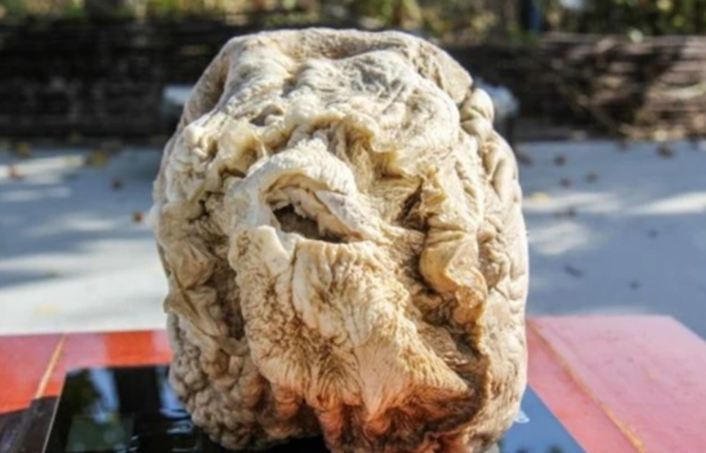 Lão nông nhặt được tảng đá ‘mềm như bông’, chuyên gia khẳng định là ‘thần dược’ quý hơn cả vàng - ảnh 3