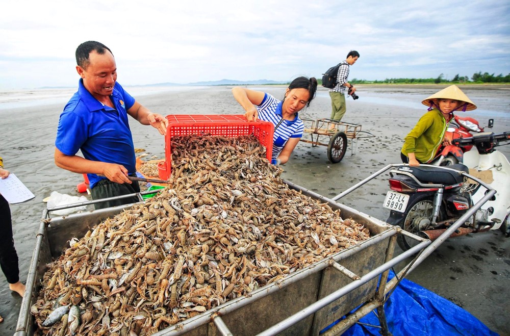 Sản vật là ‘vua xuất khẩu’ chủ lực của Việt Nam được Mỹ, Nhật, EU săn đón, thu vượt 250 tỷ đồng/ngày - ảnh 2