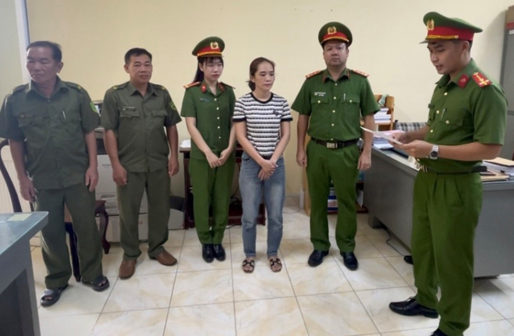 Bắt kế toán Dương Thị Hồng Thắm - ảnh 1