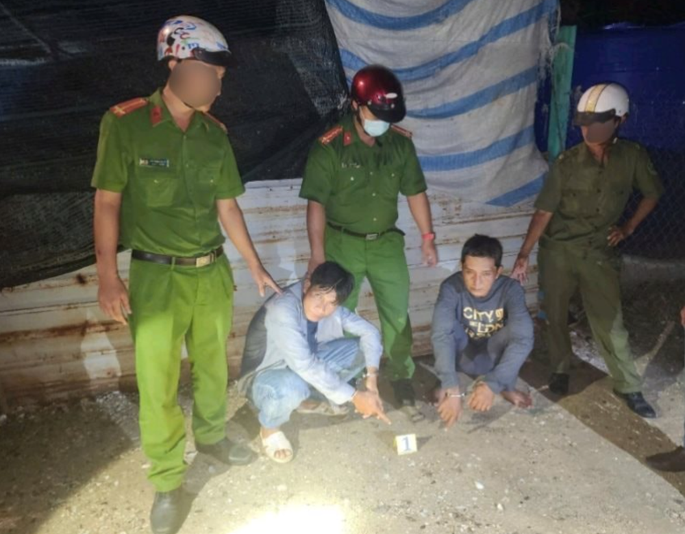 Mật phục, bắt giữ Võ Thành Trọng và Dương Mỹ Quang - ảnh 1