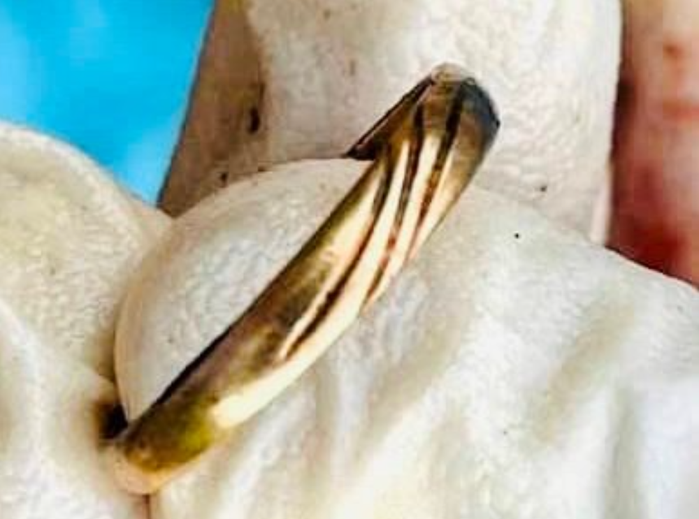 Ai biết thông tin về nạn nhân tử vong chưa rõ nguyên nhân này, khẩn trương báo ngay cho Công an qua SĐT: 0987.342434 - ảnh 2