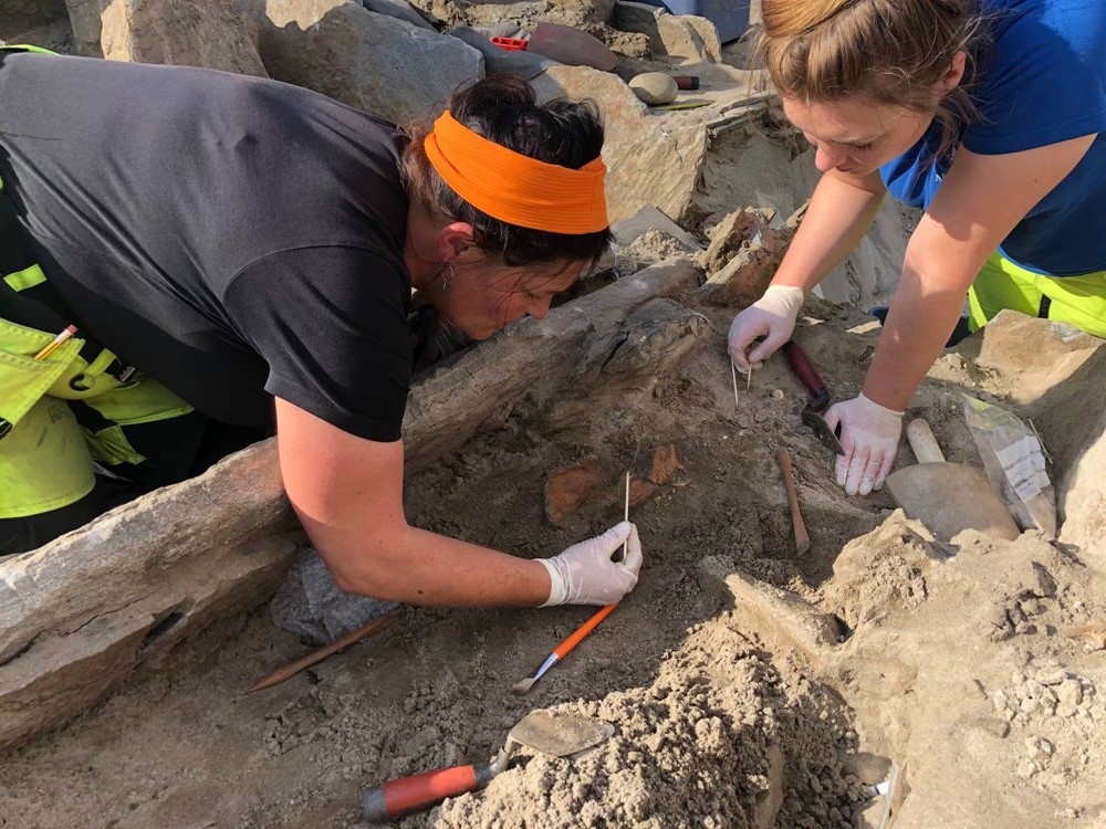 Đào đất thi công khách sạn, phát hiện hầm mộ cổ 4.000 năm tuổi: Nhóm khảo cổ lập tức khai quật, hé lộ bí mật khiến thế giới ngỡ ngàng  - ảnh 2