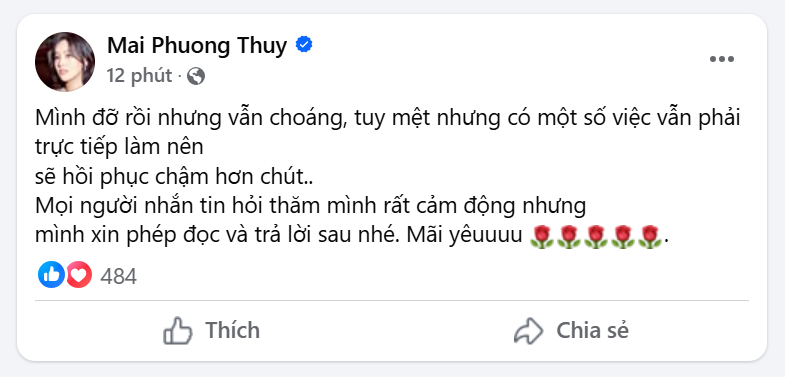 Hoa hậu Mai Phương Thúy lên tiếng - ảnh 2