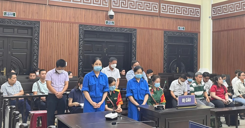 Kế toán Lê Thị Hồng chính thức bị tuyên phạt 20 năm tù - ảnh 2