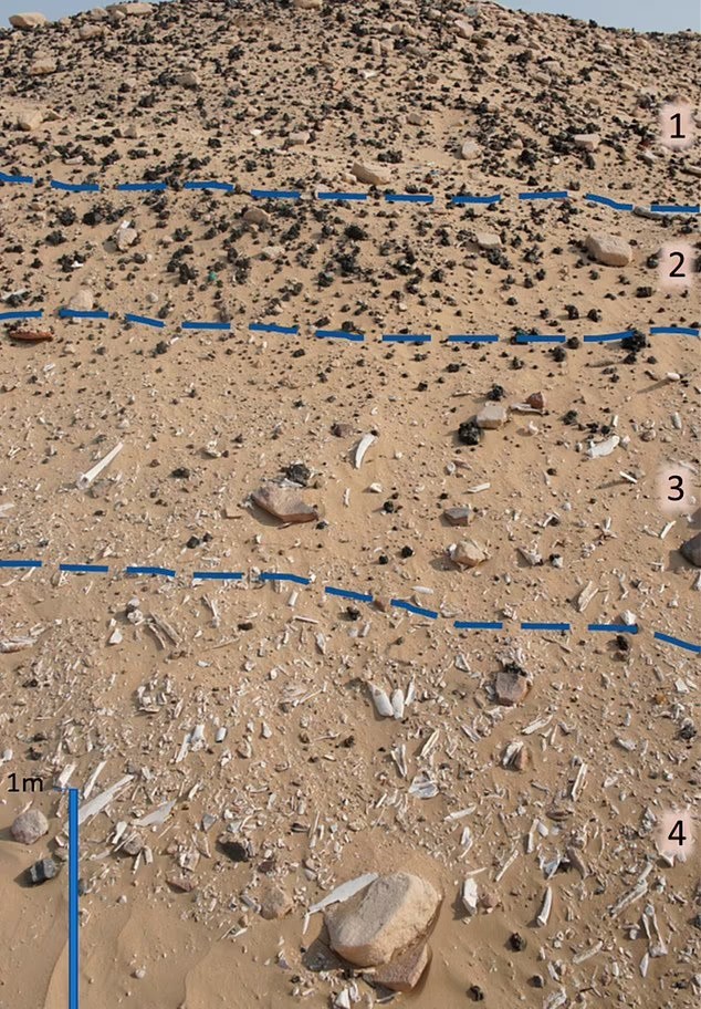 Phát hiện báu vật 5.000 năm tuổi dưới lòng sa mạc khắc nghiệt nhất hành tinh, hé lộ nền văn minh chưa từng được biết đến - ảnh 2