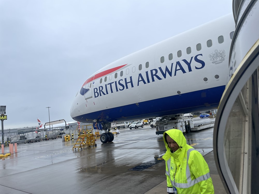 Đình chỉ công tác một tiếp viên hàng không - ảnh 1