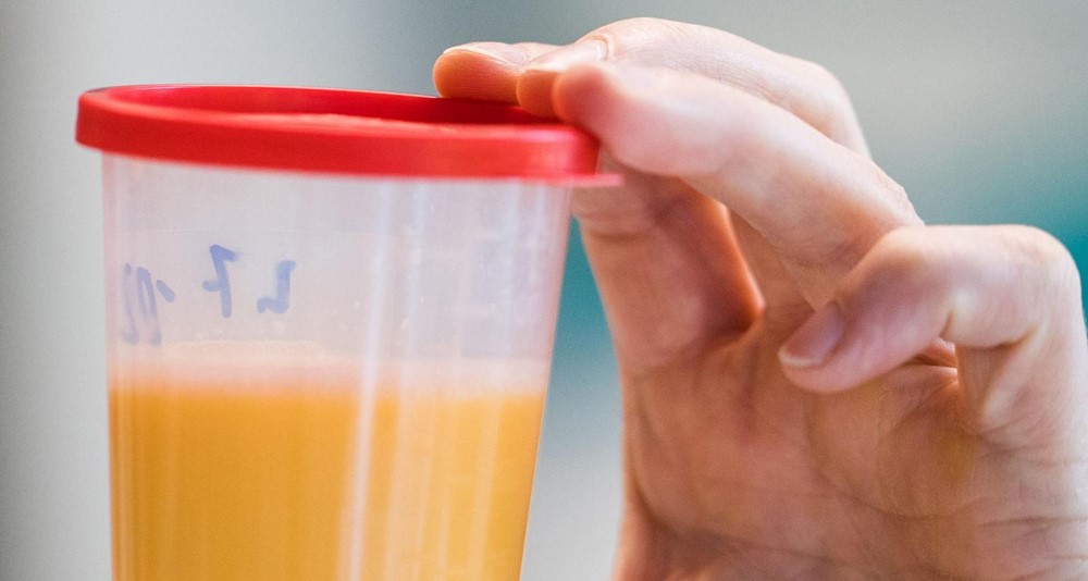 Phát hiện 700.000 quả trứng gà nhiễm độc thuốc trừ sâu, nồng độ gấp 144 lần mức cho phép: Bê bối kinh hoàng nhấn chìm ngành thực phẩm gần 20 năm về trước - ảnh 1