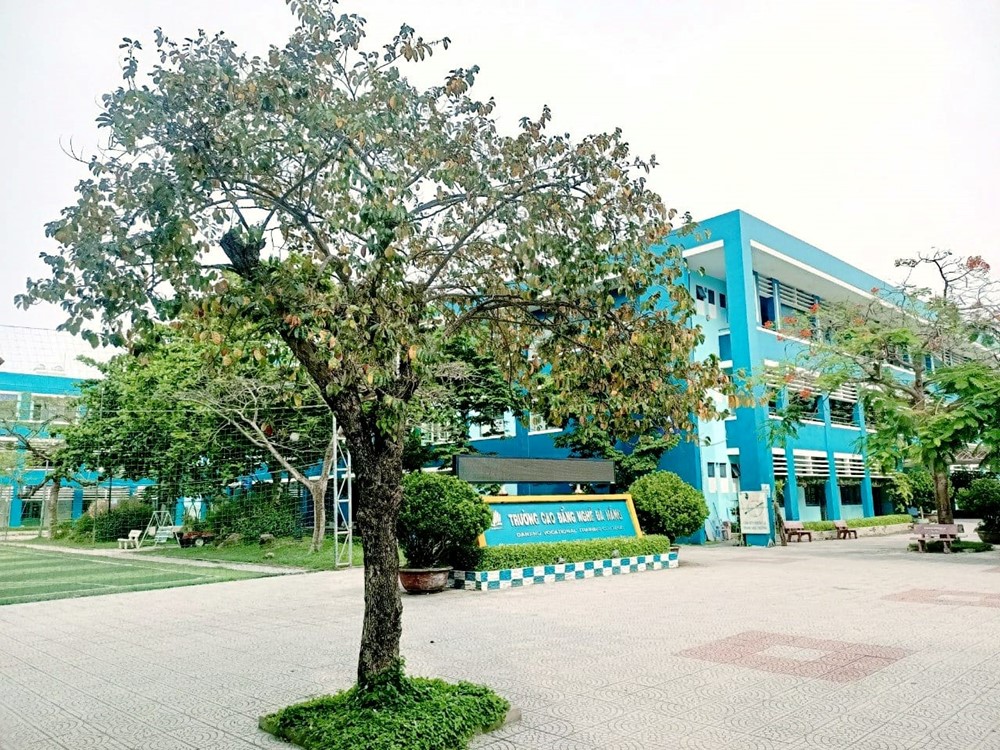 Chính thức ‘sáp nhập’ 2 trường cao đẳng tại TP rộng nhất Việt Nam - ảnh 2