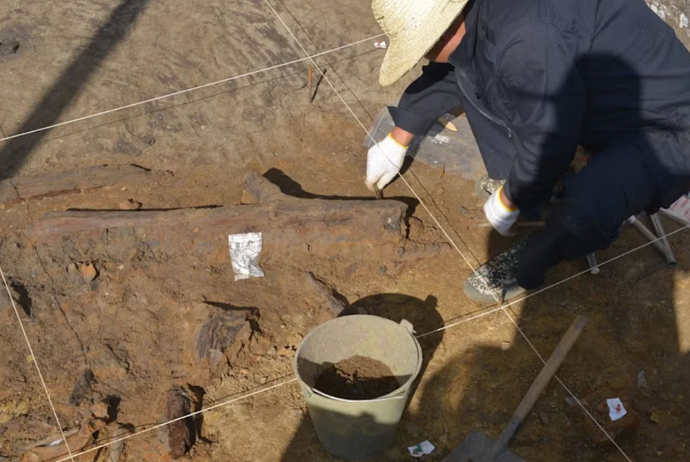 Chính thức tìm thấy ‘kho báu gỗ’ niên đại 300.000 năm - ảnh 1