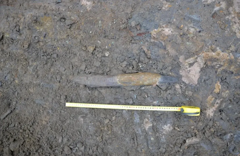 Chính thức tìm thấy ‘kho báu gỗ’ niên đại 300.000 năm - ảnh 3